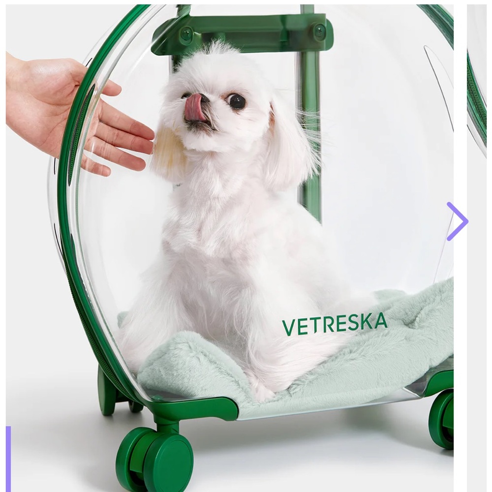 VETRESKA GREEN PET CARRIER FOR CAT OR SMALL DOG WITH TELESCOPIC HANDLE - Picture 3 of 9